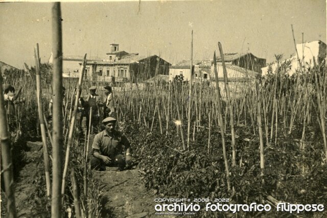 lavori in campagna-2